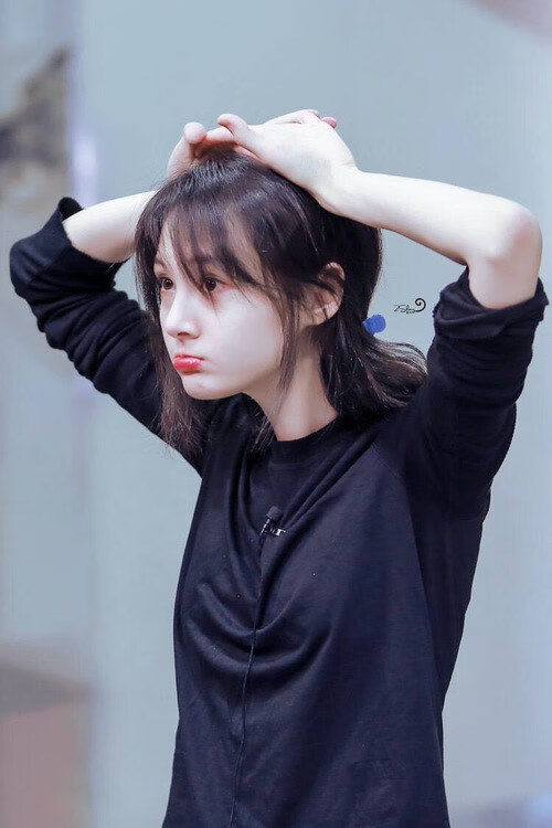 德甲球队利用情绪波动曲线预测关键时刻战术执行效率，情绪波动理论