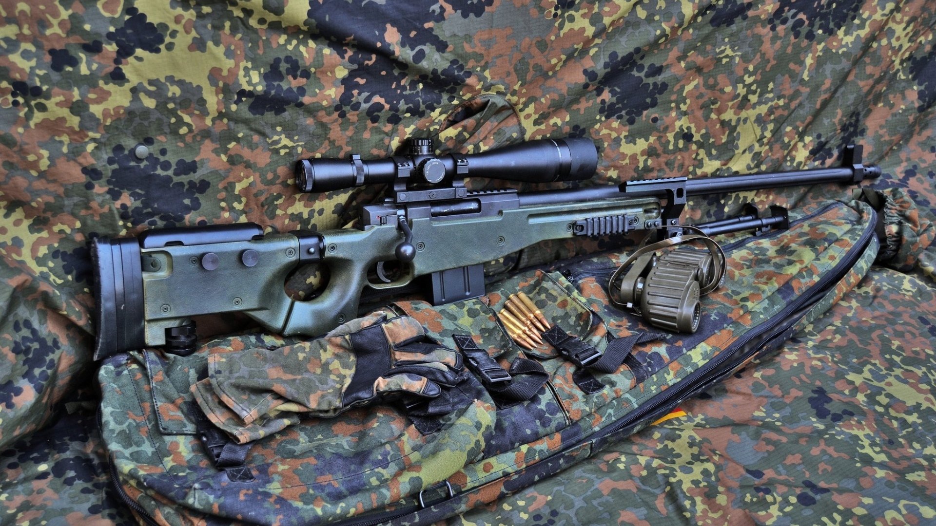 kaiyun体育app-谢佩玲泳姿优雅，跳台表现亮眼，谢佩伦个人简介