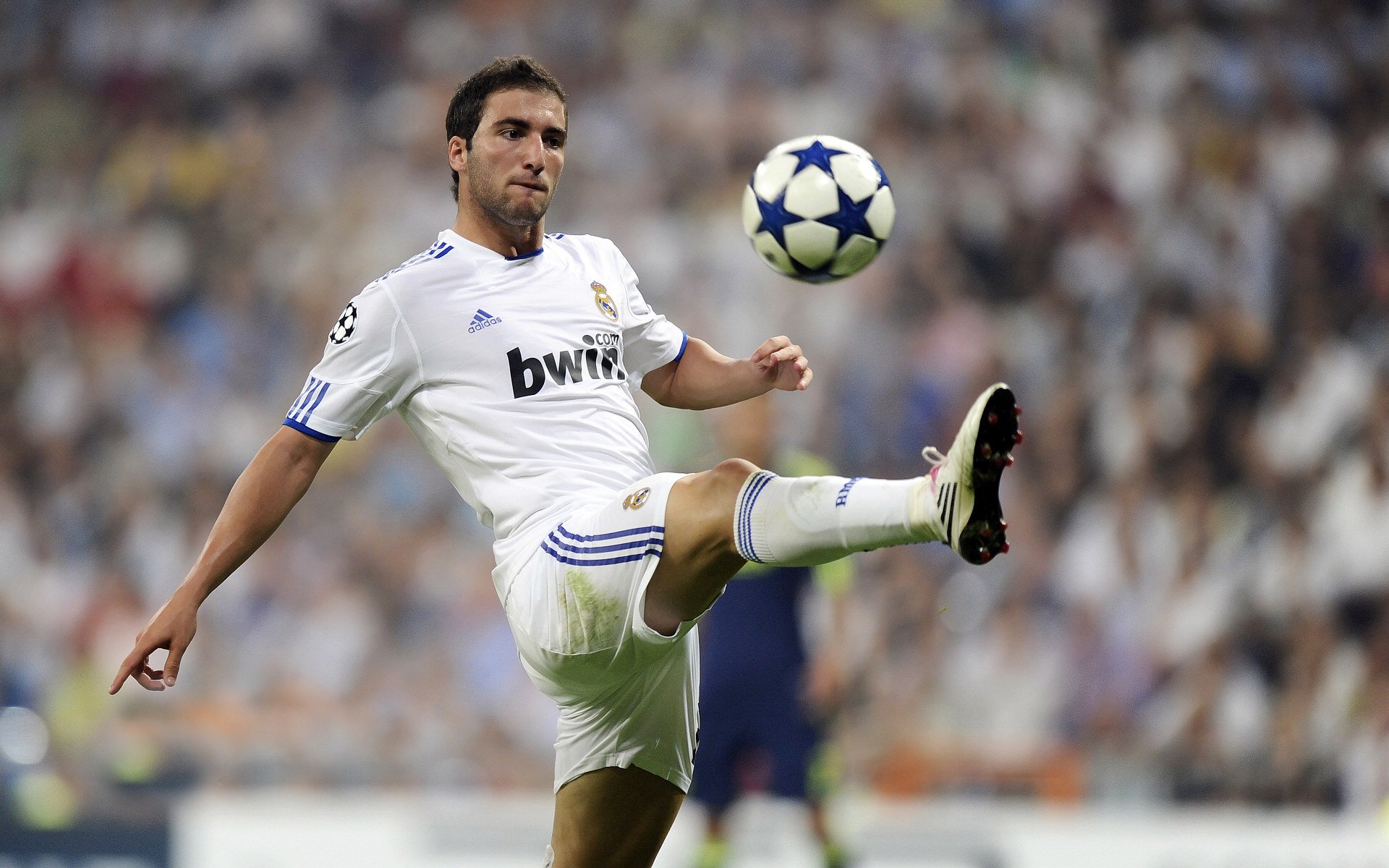 《明星战队盘点：谁才是真正的王者？》，明星战队英文